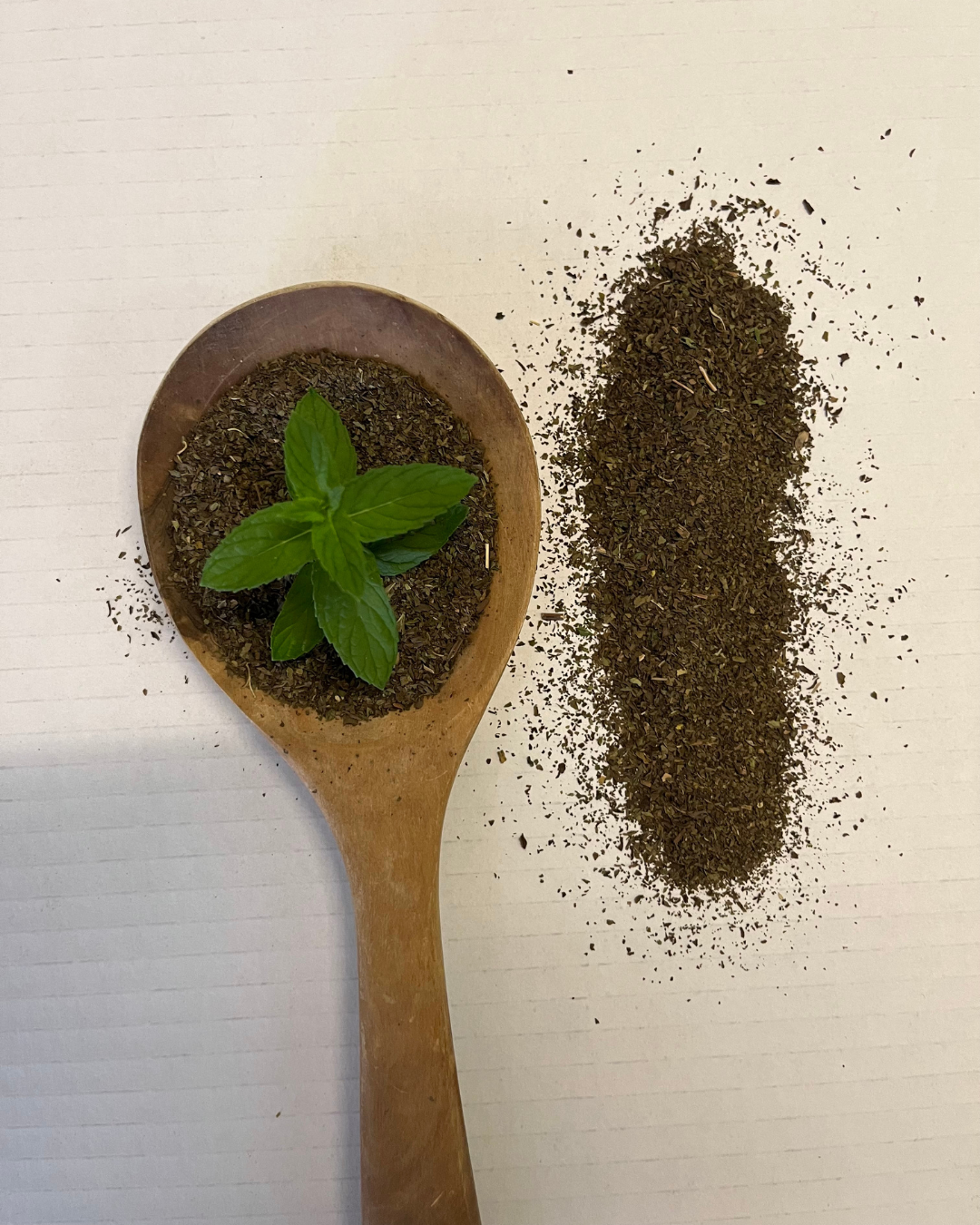 Infuso Menta - immagine 4