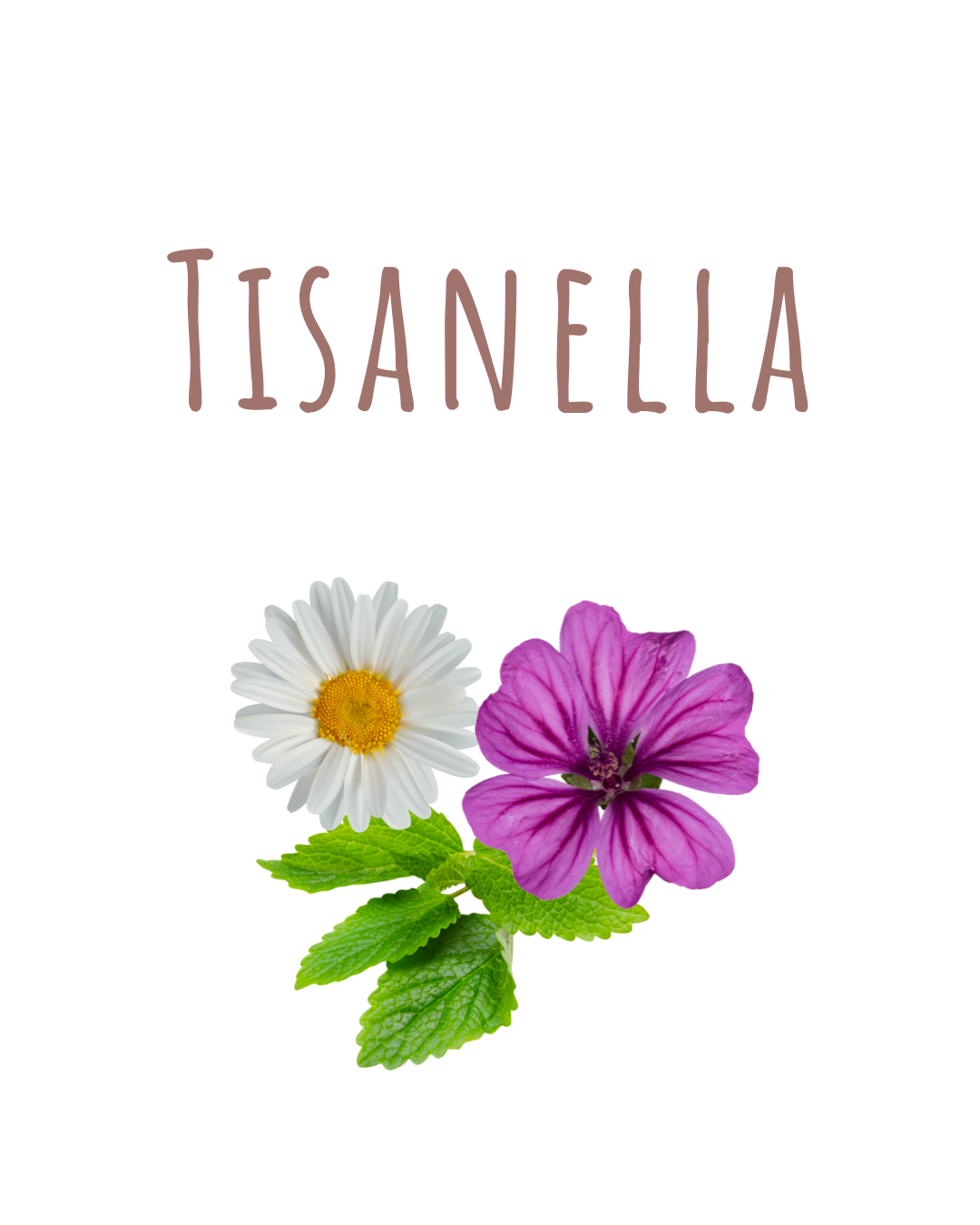 Infuso Tisanella alle 3 erbe - immagine 6