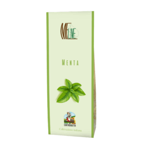 Infuso Menta