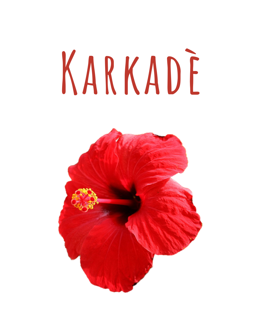 Infuso Karkadè - immagine 3